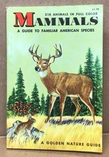 A Golden Guide Mammals Book By James Gordon Irving 1955 Vintage Paperback Golden