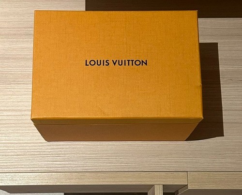 Montre louis vuitton horizon - louis,