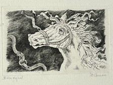 HEAD HORSE engraving JEAN PAUL