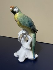 Karl Ens Grand perroquet ara