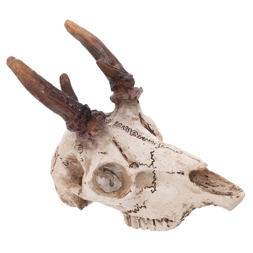 Enclos pour dragon barbu - enclos,