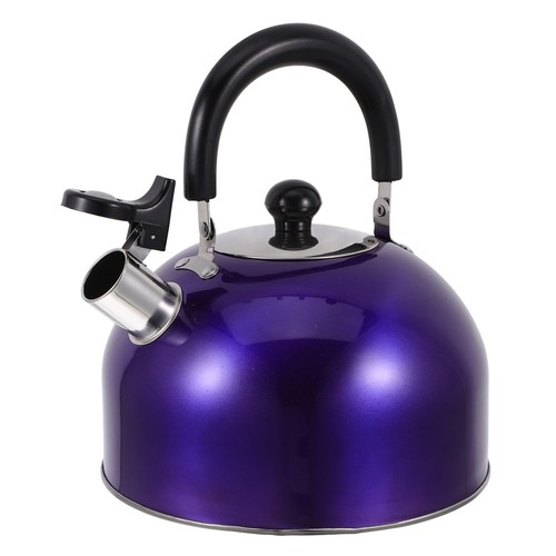 Bouilloire inox the - bouilloire, en