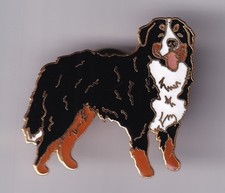 RARE PINS PIN'S .. ANIMAL