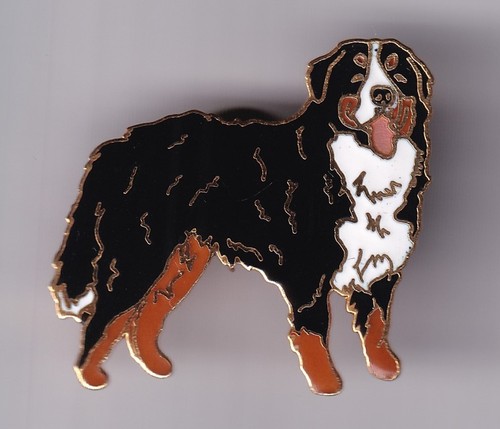 Rare pins pin animal - pins, pin's