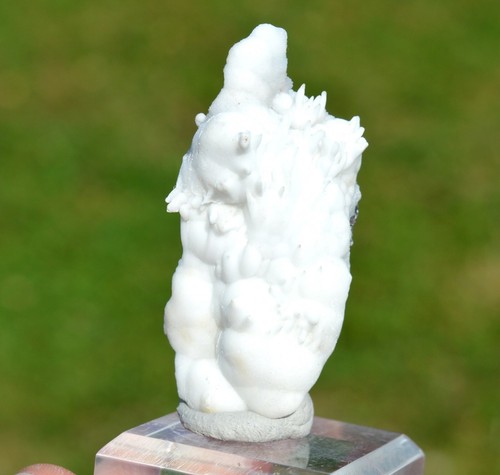 Aragonite flos ferri 29 - "flos, ferri"