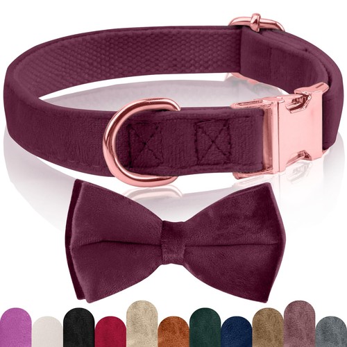 Collier chien velours - velours,, avec