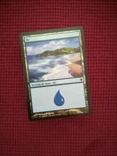 100 terrains ile ★ 2004-20 ★ carte magic the gathering l'assemblée ★ MTG