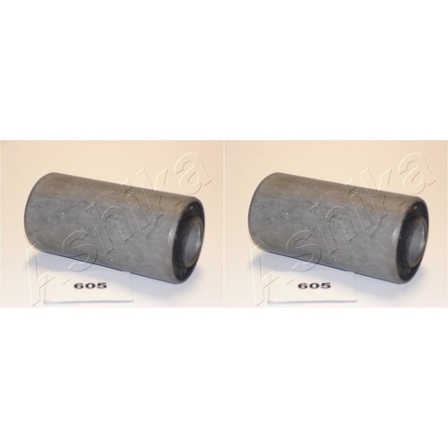 Ashika bushing ressort - 2x,