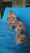 4 PELUCHES ANCIENNES DE 50 ans