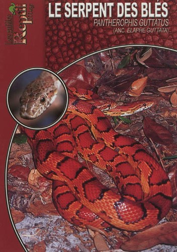 Serpent des blés - blés,