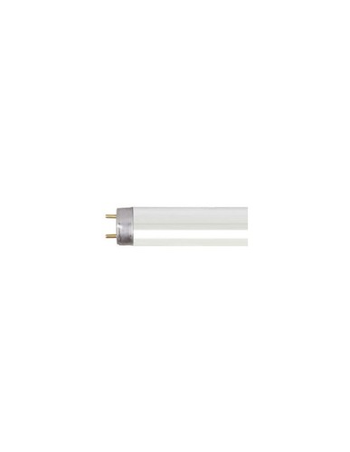 Tube fluorescent linéaire - tube,