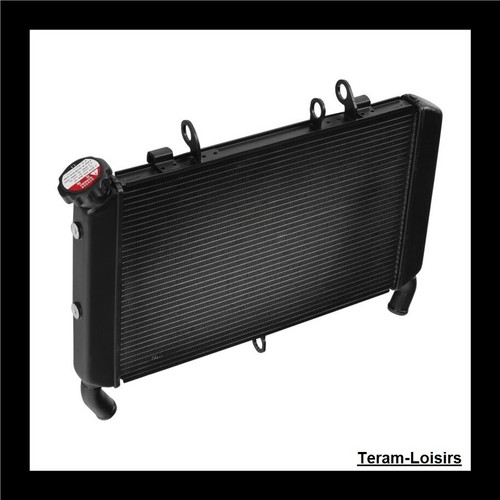 Radiateur pour yamaha xsr 900 - radiateur,