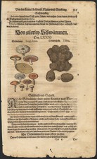 1590 Planche gravure