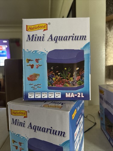Mini aquarium - mini,