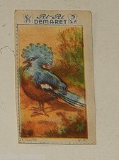 Image CHROMO RI-RI DEMARET 