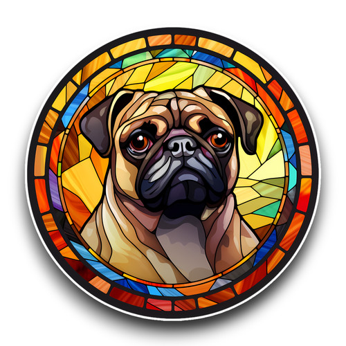 Mignon carlin chiot teinté - carlin,