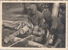 Photo, 6/Ln.Rgt.15