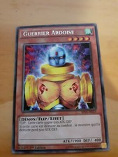 Carte Yu-Gi-Oh Guerrier