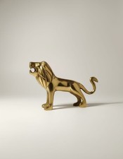 Garde-boue avant lion en