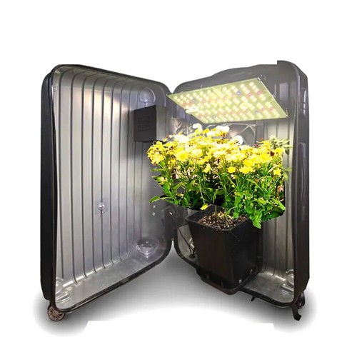 Bonsanto neo mini - bonsanto®, –