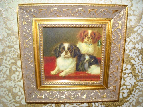 Cavalier king charles dogs - cavalier, on