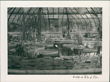 France, 1942, A Tête d&#039;Or (Lyon) Vintage silver print. Silver Print 