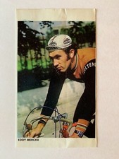 STICKER VINTAGE - TINTIN