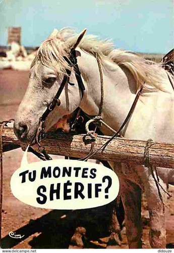 Postcard animals horses - -,