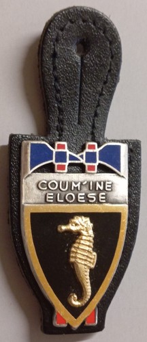 Insigne sapeurs pompiers - insigne, sapeurs-pompiers