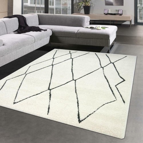 Tapis moelleux pour entrée - tapis,