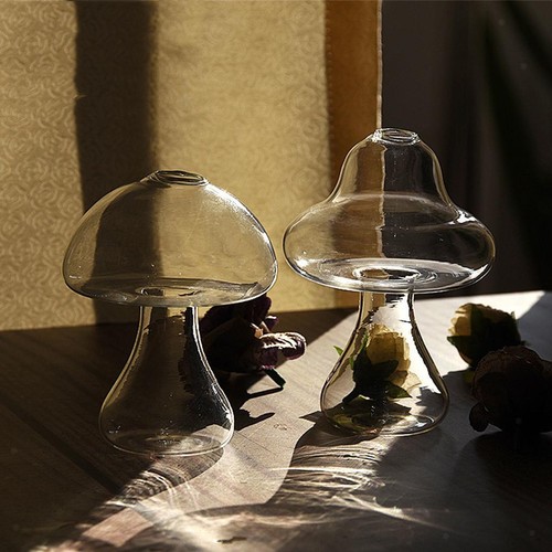 Champignon forme verre - champignon, en