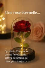 Rose  éternelle Pour Cadeau