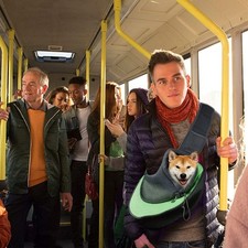 Sac De Voyage Pour Chats Sac De Porte-animal De Compagnie STRAP ALIGNABLE