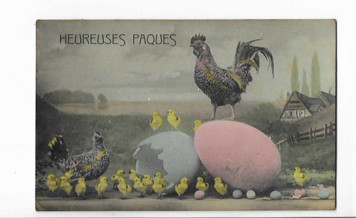 Carte fantaisie coq - fantaisie,