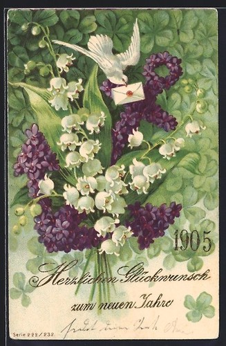 Carte postale petit pigeon