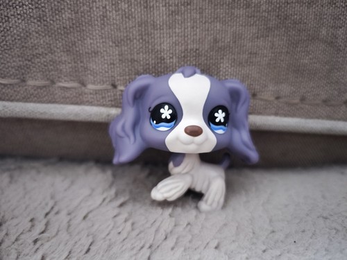 Lps 672 littlest petshop - #,