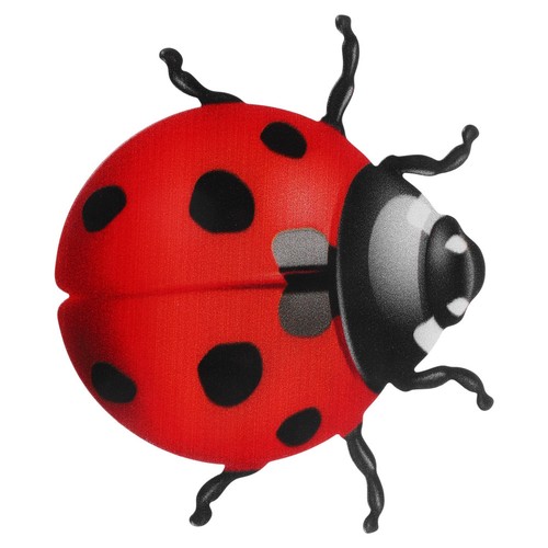 Déco maison coccinelle - de,