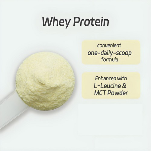 Poudre protéinée whey - poudre, –