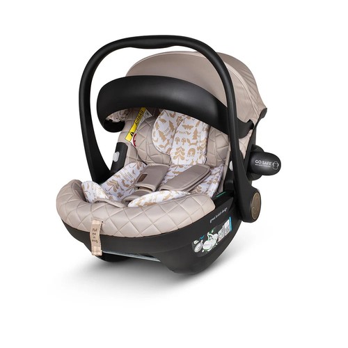 Acorn size whisper cosatto - 2,