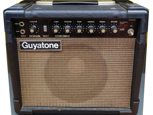 Guyatone flip 200f - vacuum, tube