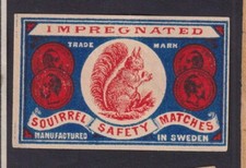 Antique Match Tag Sweden BN182590 Squirrel