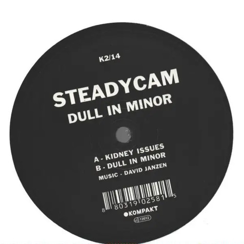 Steadycam dull monor vinyle - steadycam,