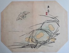 Cocons de vers à soie