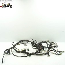 Faisceau électrique principal