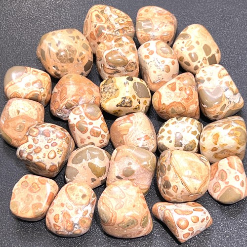 Leopardite - (leopard, jasper)
