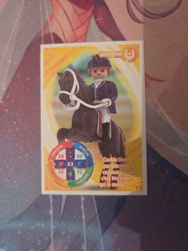 Playmobil carte dressage - playmobil,