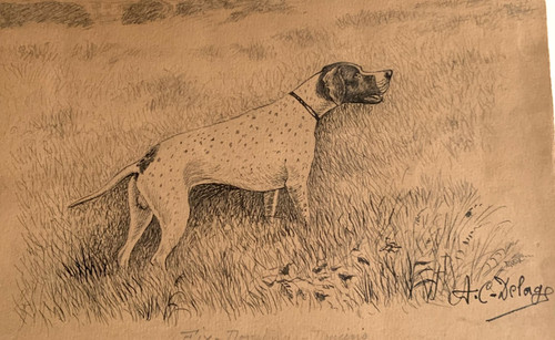 Ancien dessin fin xix - ancien, debut