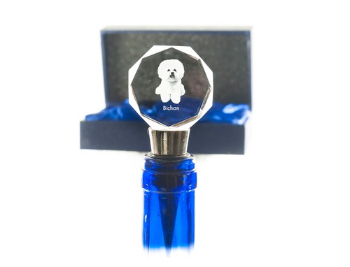 Bichon frisé - bichon,