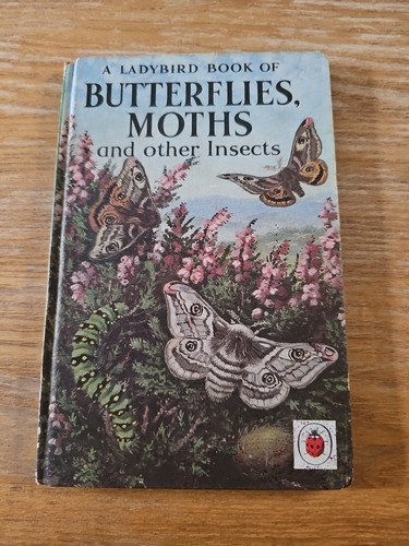 Butterflies moths and other - moths,