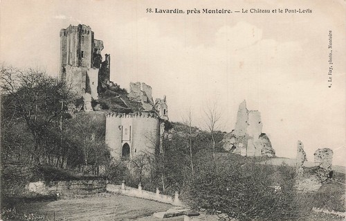 Lavardin chateau - 41,